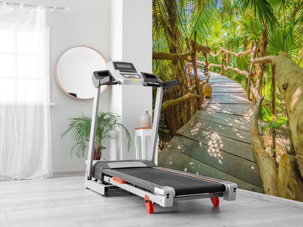 Pont dans la jungle tropicale