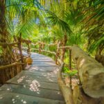 Pont dans la jungle tropicale