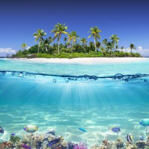 Île tropicale et récif corallien